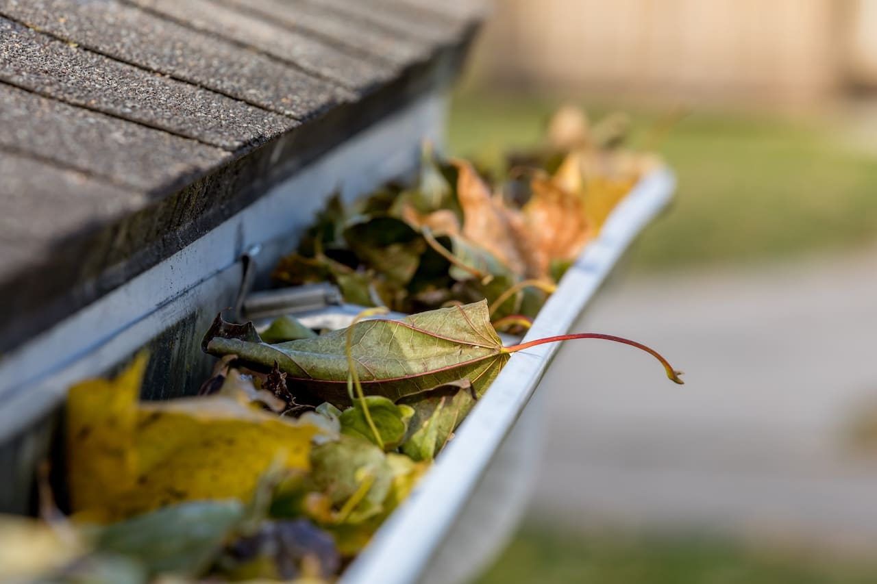 Gutter Company in New Albany, IN